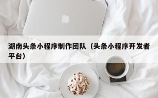 那曲湖南头条小程序制作团队（头条小程序开发者平台）